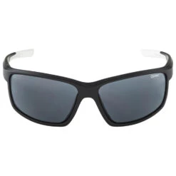 Alpina Defey Cat. 3 - Fahrradbrille