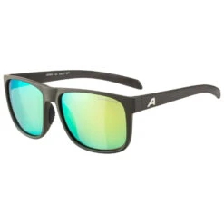 Alpina Nacan III Mirror Cat. 3 - Sonnenbrille