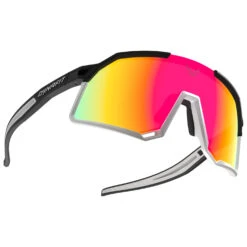 Dynafit Trail Pro Sunglasses Photochromic S1-3 - Laufbrille